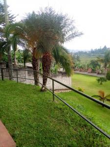 A view of the Ridge Hotel gardens from the residential block